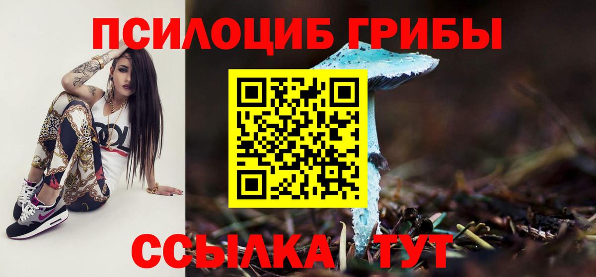 Арзамас  Галлюциногенные грибы мицелий  закладка  Вход с VPN 